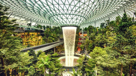 The Ultimate Guide to Singapore Changi Airport (SIN)